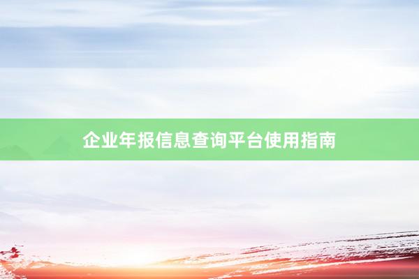 企业年报信息查询平台使用指南