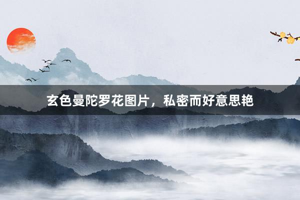 玄色曼陀罗花图片，私密而好意思艳